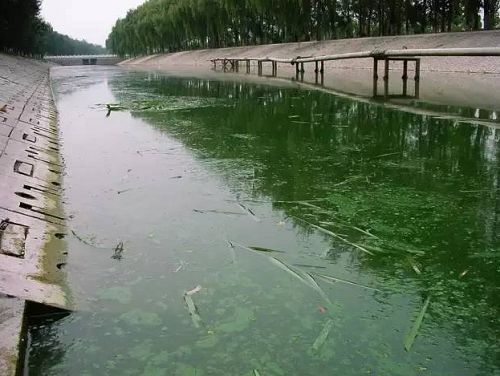 城市黑臭河道如何治理？河道黑臭水體治理思路(圖1)