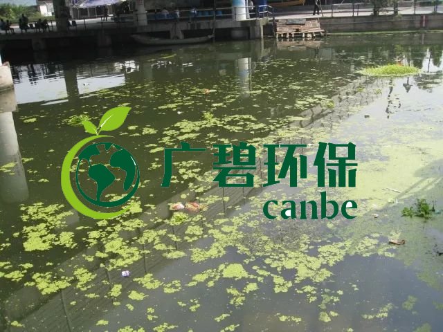 城市黑臭河道如何治理？河道黑臭水體治理思路(圖3)